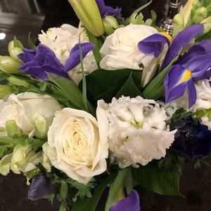 Meet your Posher, Marylou